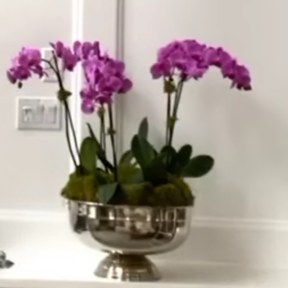 Meet your Posher, Linda